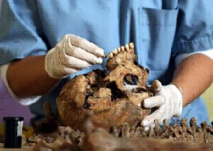 Analisis laboratorio restos humanos