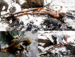 Momia de Ótzi. Una extracción ‘irregular’ altamente contaminante
